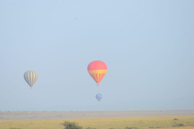 Hot Air Balloons
